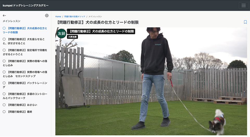 動画レッスンが見放題