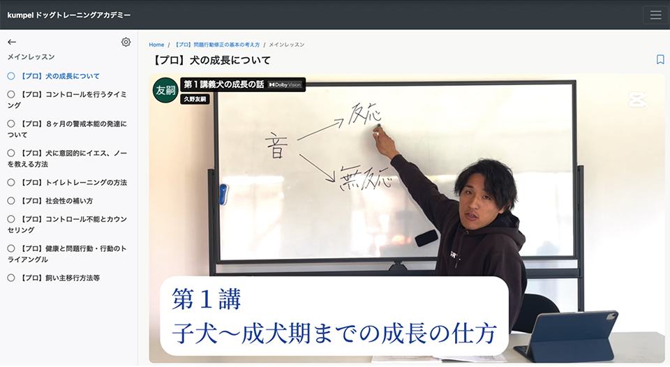 動画レッスンが見放題