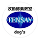 TENSAY.dog's