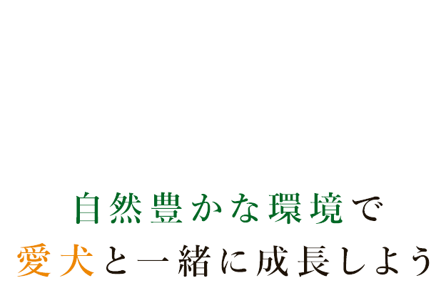 コンペルドッグトレーニングセンター